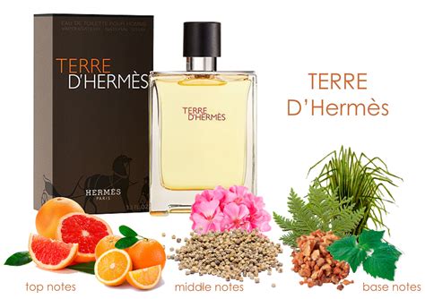 scents similar to terre d'hermes.